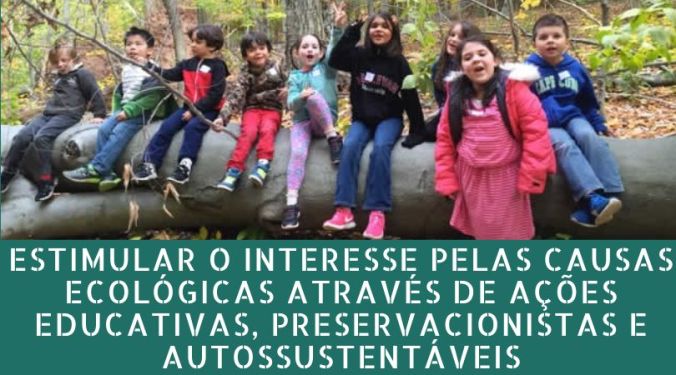 ESTIMULAR O INTERESSE 2